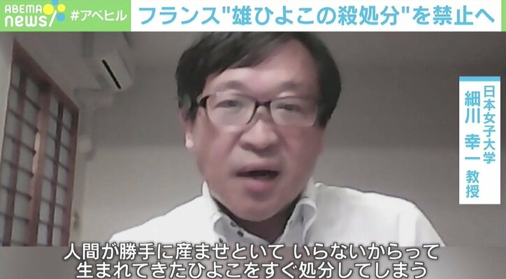 家畜の屠殺にタブー視も…魚の解体ショーはOK? 日本のアニマルウェルフェアは?