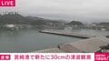 宮崎港で新たに30cmの津波観測