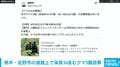 栃木・佐野市の道路上でクマ3頭目撃 約1メートルが1頭 50から60センチメートルが2頭