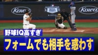 【映像】投げる途中にピタッ！変幻自在のダルビッシュ