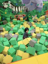 アレクサンダー『ヤンチャカゲトラ』