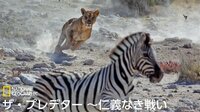ザ・プレデター ~仁義なき戦い~ | 動画視聴は【Abemaビデオ(AbemaTV)】