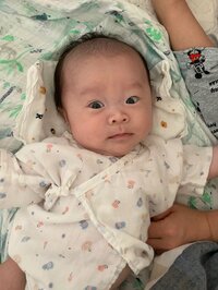 キンタロー。旦那『“ちびキン”ちゃん、無言の圧力。』