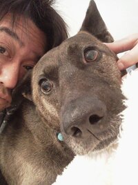 坂上忍、“とても大きい”愛犬・サンタの存在について語る「パパ、頑張るからね」