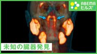 人間の“未知の臓器”発見！ 研究者を直撃