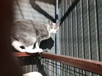 坂上忍『独り言』