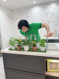 アレクサンダー『さっき 花屋さんでハーブ買ってきたよ』