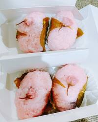 丸山桂里奈『おはようございますー間違いなくおはようだよね』