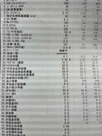 河本準一（次長課長）『数値が高いベスト３！』