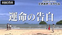 【無料期間あり】「付き合うからには責任がある…」運命の告白タイム