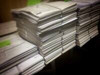 杉本彩『「動愛法の厳罰化とアニマルポリス設置」署名 明日終了！』