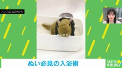 風呂キャンしてない? 推し活ファン必見のぬいぐるみ“手洗い術” 「うちの子は満足そう」「いい感じだぜぃ」ユーモアあふれる動画に注目