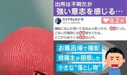 「どこから出てくるんや」湯船に浮かぶ“黒い物体”…予想外の正体に「なんなんだ…」「1匹見つけたら300匹はいる」反響続々