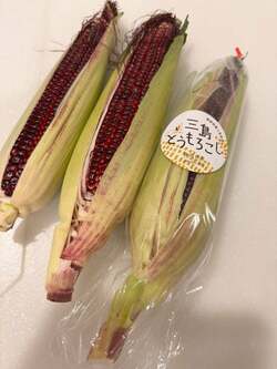  元おニャン子メンバー、つい購入してしまった野菜を紹介「珍しい色ですね」 