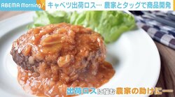 余剰キャベツの「もったいない」をなくすために…農家と企業がタッグ！ 新商品開発の裏側