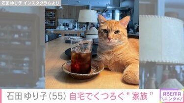 2ページ目) 石田ゆり子、広々とした自宅でくつろぐ“愛猫”目線で日常を