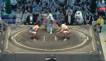 あら！美人さん」大相撲名古屋場所、国民的スターの女性が大胆“肩出し 