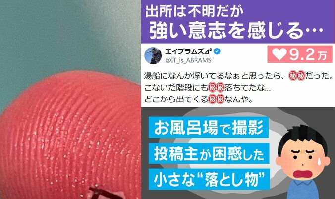 “黒い物体”の正体