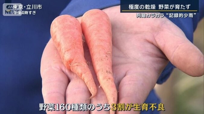 生育不良の野菜