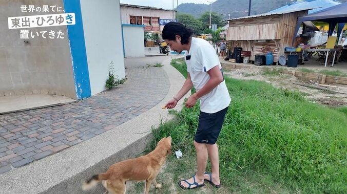 【写真・画像】東出昌大、南米の野良犬との触れ合いが話題に「狂犬病気をつけて」心配するファンに説明も　3枚目