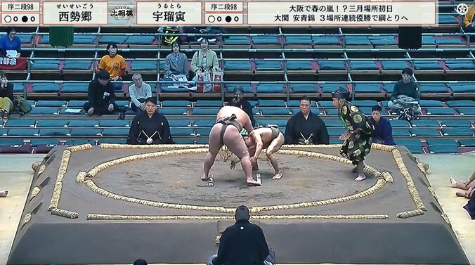 「肋骨が浮き出て…」「私より軽い力士きた」62キロ小兵に驚きの声 体重2倍超の巨漢を豪快になぎ倒して館内喝采 3枚目