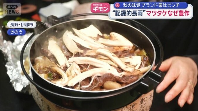 マツタケのすき焼き