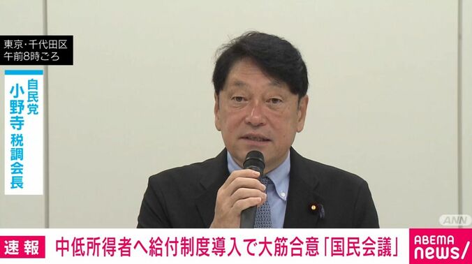 自民党・小野寺税調会長