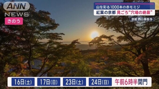 今週末と来週末は開門が朝6時半