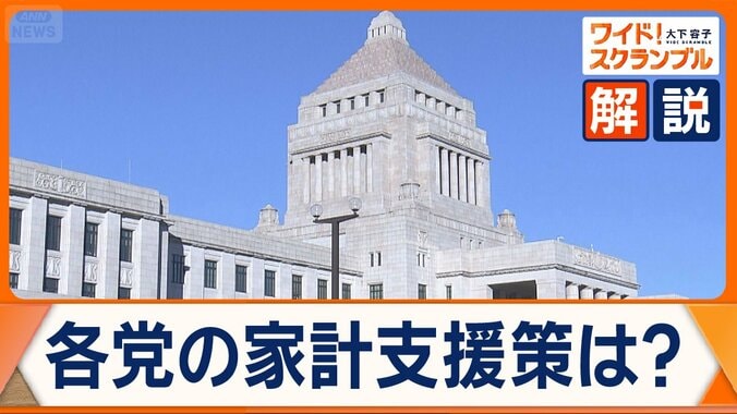 減税競う与野党…市場が警戒　子育て支援は…“多摩川格差”など不公平感にどう対応？ 1枚目