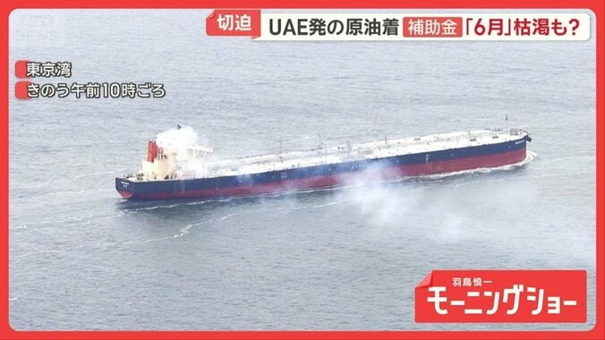 燃料価格高騰　補助金5月末で枯渇の試算も　配送会社で運転手の収入減…人手不足拍車 1枚目