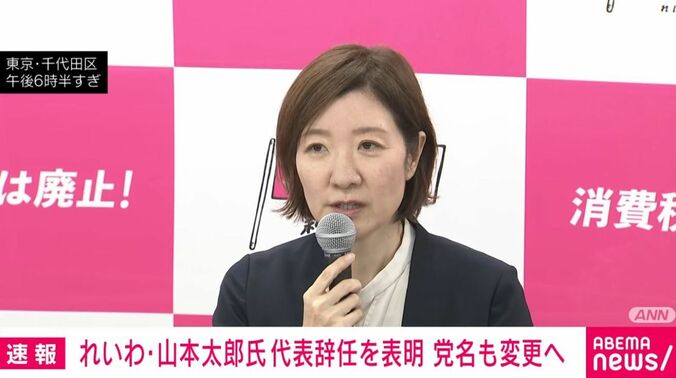 大石晃子共同代表