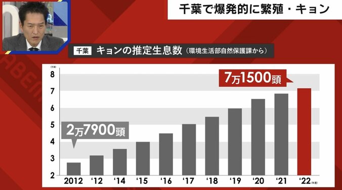 千葉県で「キョン」が大量繁殖も捕獲進まず…「駆除するときに泣き叫ぶ。心がやられる」猟師が吐露する駆除の実情 2枚目