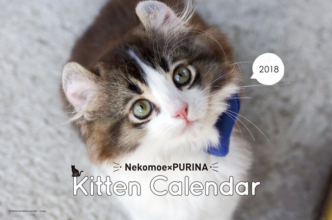 「アイドルねこ」情報が満載のムック『ねこもえ』第２弾が発売 1枚目