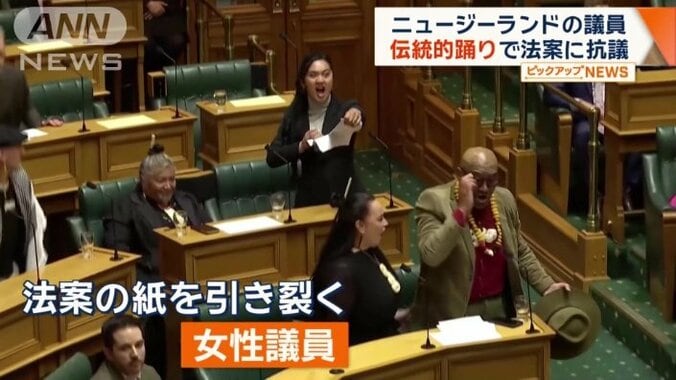 突如歌い出し、法案の紙を引き裂く女性議員