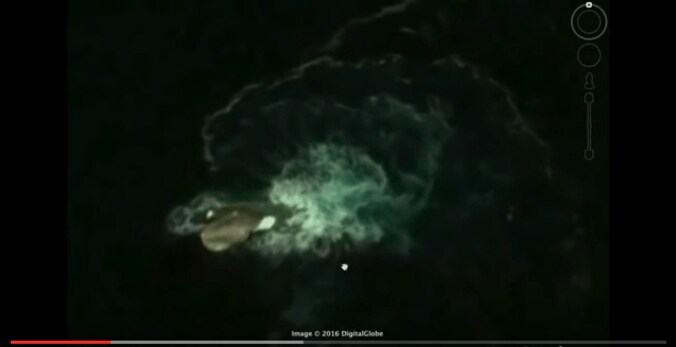 南極の海に謎の巨大生物が出現か！？　伝説の怪物・クラーケンの可能性も 1枚目