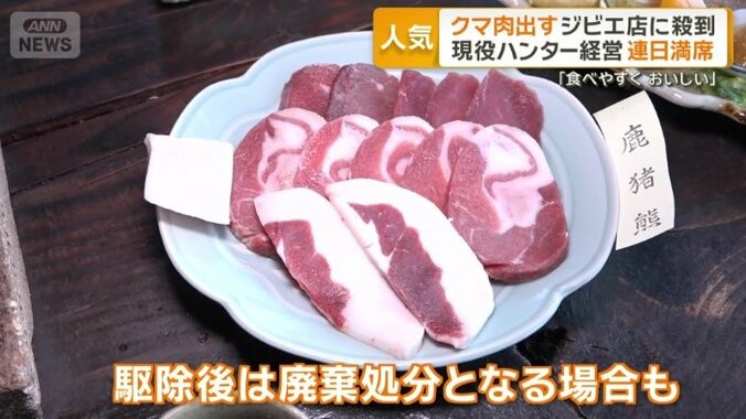 駆除後は廃棄処分となる場合も