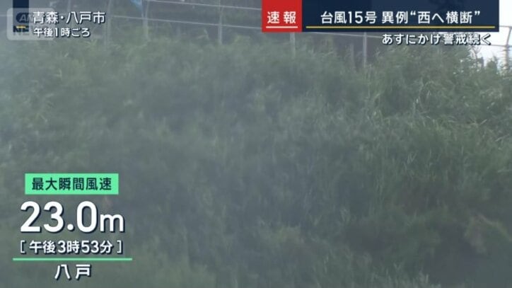 八戸市