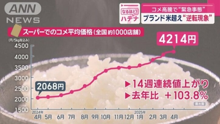 過去最高値を更新