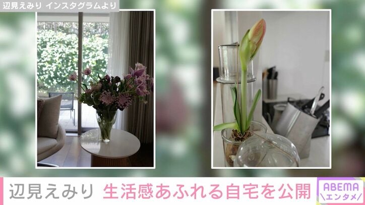 辺見えみり Instagramより