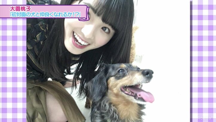 白石麻衣のひょっこりはん生共演、衛藤美彩がメイク術特別公開にかわいすぎるの声