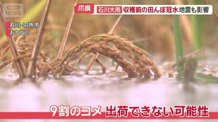 9割のコメ　出荷できない可能性