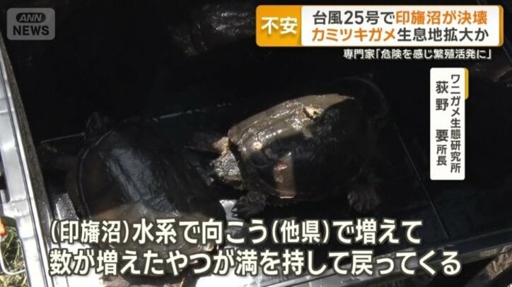 「他県は千葉県みたいに捕獲していない」