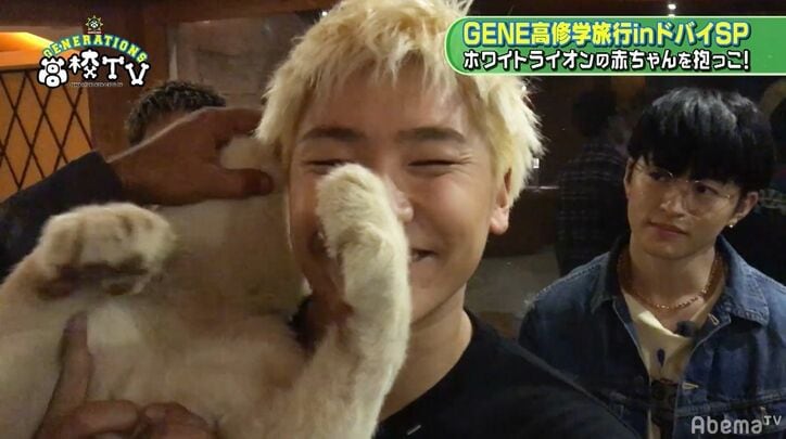 GENERATIONS、かわいすぎるホワイトライオンの赤ちゃんにメロメロ…
