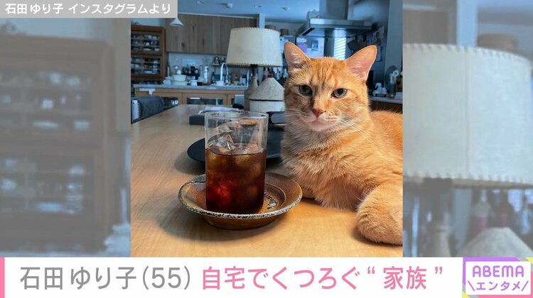 写真・画像】石田ゆり子、広々とした自宅でくつろぐ“愛猫”目線で日常を