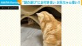 “謎の遊び”をする弟猫 眠そうにしながらも付き合う兄猫の姿に飼い主「感心してしまいました」