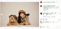 川口春奈、可愛いワンコとのオフショットを公開し「可愛さが強すぎる」「こっちも癒される」と反響の声