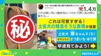 "シュン"な表情の土佐犬が愛おしい...
