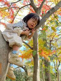 メイミ『出生前診断を受ける？受けない？家族会議で食い違う意見』