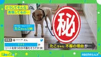 【映像】不服の理由は? わんちゃんの表情が話題
