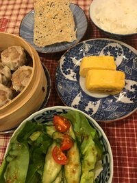 相田翔子『サバはサバでも…』